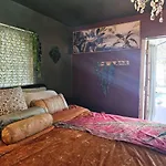 The Jungle Room