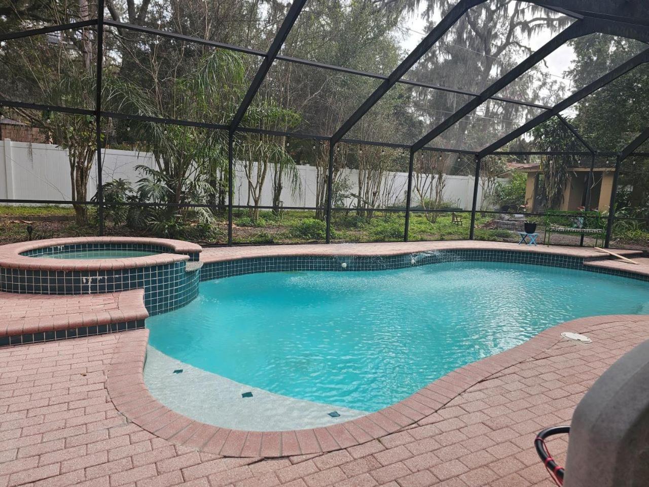 The Jungle * Tampa
